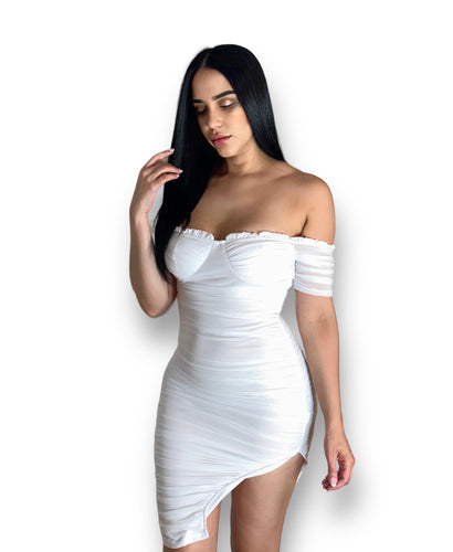 Paoly Mesh Dress