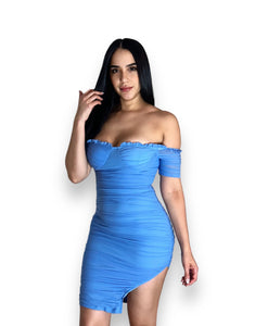 Paoly Mesh Dress